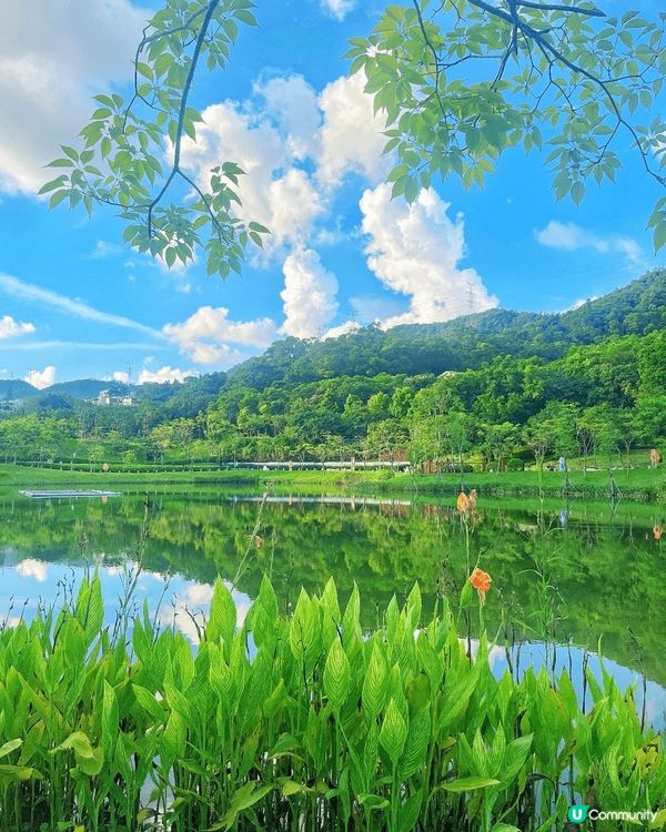 天空之鏡打卡📸！金湖公園超chill~ 🏞️