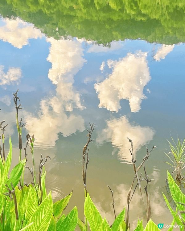 天空之鏡打卡📸！金湖公園超chill~ 🏞️