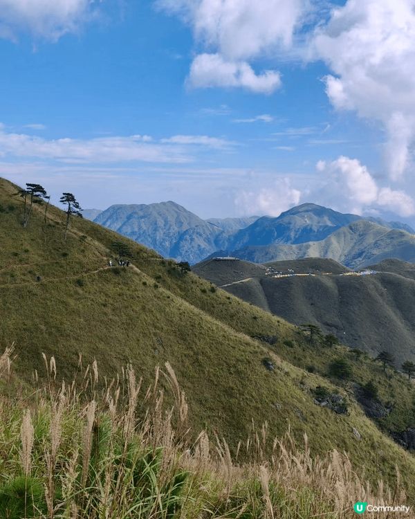 我想去戶外露營🏕️試用驅蚊大師「清爽版」，上個月不走尋常路，...