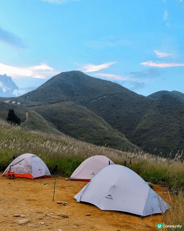 我想去戶外露營🏕️試用驅蚊大師「清爽版」，上個月不走尋常路，...