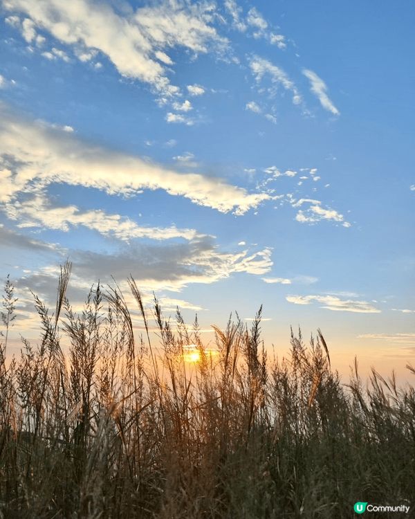 我想去戶外露營🏕️試用驅蚊大師「清爽版」，上個月不走尋常路，...