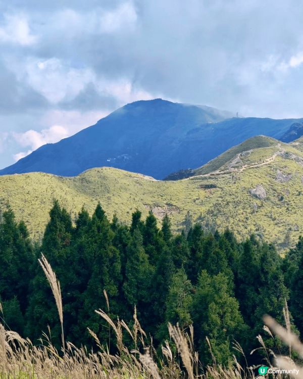 我想去戶外露營🏕️試用驅蚊大師「清爽版」，上個月不走尋常路，...
