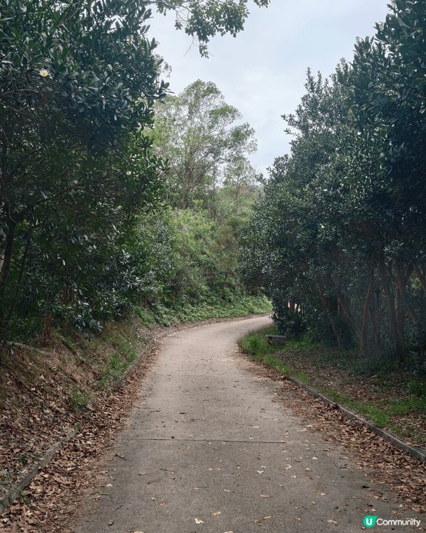 會去大棠香楓林試用驅蚊大師，11 月踏入秋天，天氣清爽，好適...