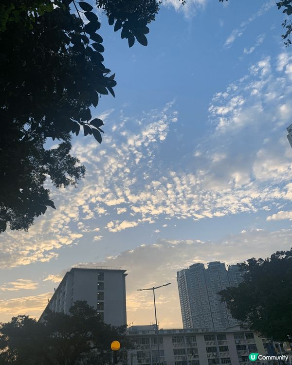 去戶外, 公園比較多蚊既地方都會試用驅蚊大師「清爽版」。