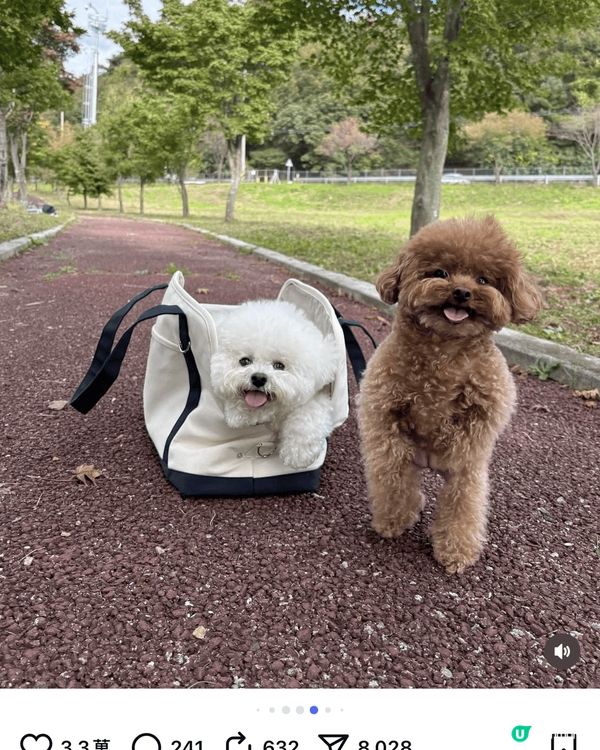 北上好多地方都有花草叢，或者去多花草樹木嘅地方都需要用驅蚊大...