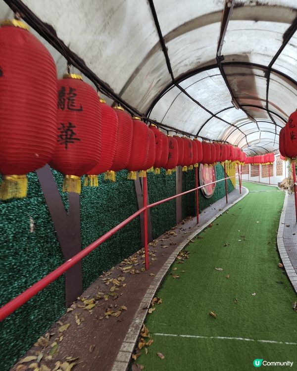 經歷沙田馬場及沙田龍華酒店，空曠又有草地地方啲蚊真係又多又睇...