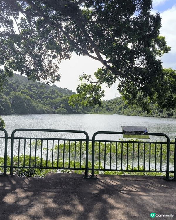 公園湖邊野餐的時候