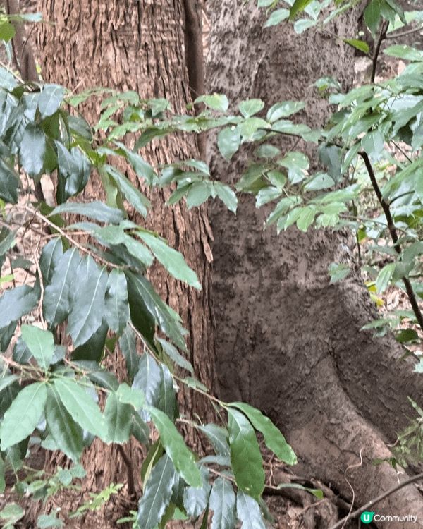 葵涌公園
