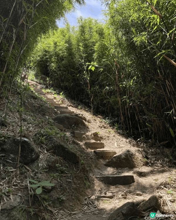 我會去行山。秋高氣爽，行下山當做運動，又可以親親大自然。但又...