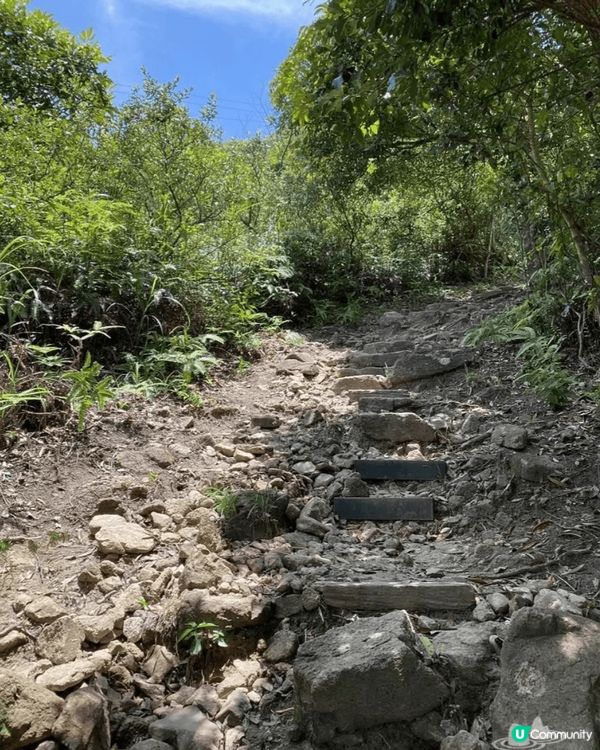 我會去行山。秋高氣爽，行下山當做運動，又可以親親大自然。但又...