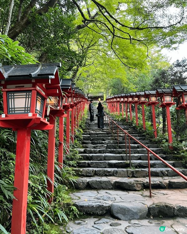 日本旅行時，去多樹木嘅地方例如寺院或景區等，一定需要用驅蚊大...