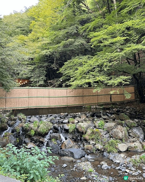 日本旅行時，去多樹木嘅地方例如寺院或景區等，一定需要用驅蚊大...