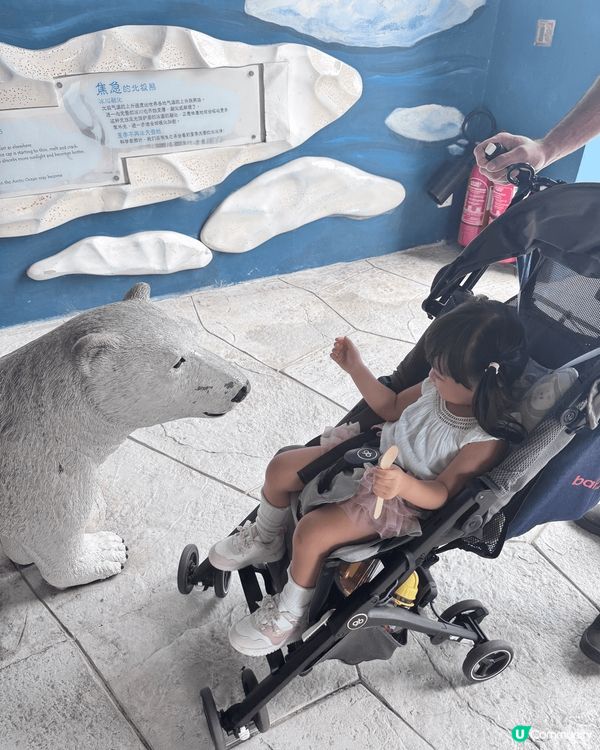 20251026 啱啱同埋小朋友一家三口去海洋公園萬聖節玩，...