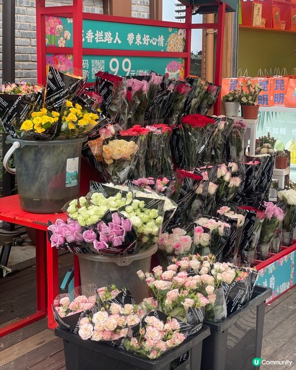 昆明老街嘆茶🍵，酒杯樓下聽風！🌬️