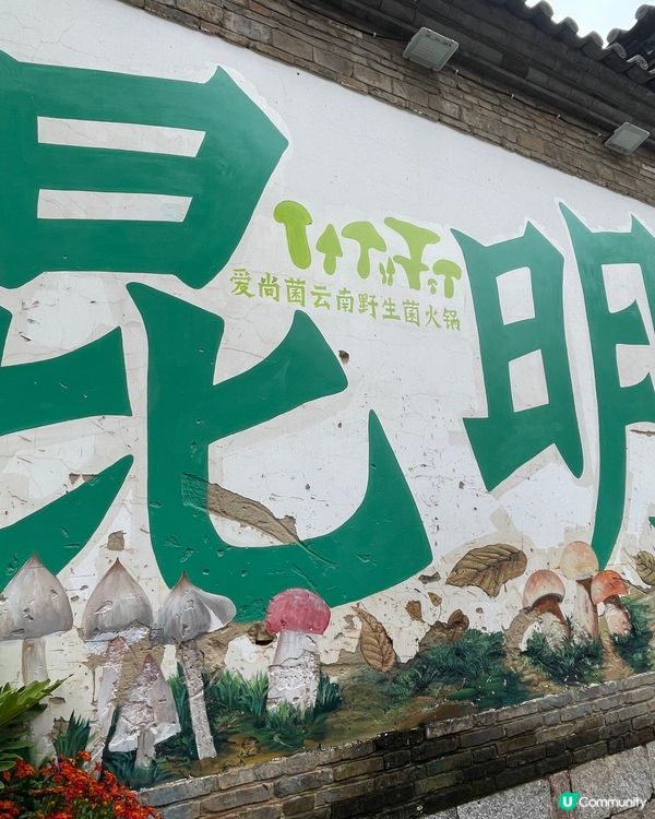 昆明老街嘆茶🍵，酒杯樓下聽風！🌬️