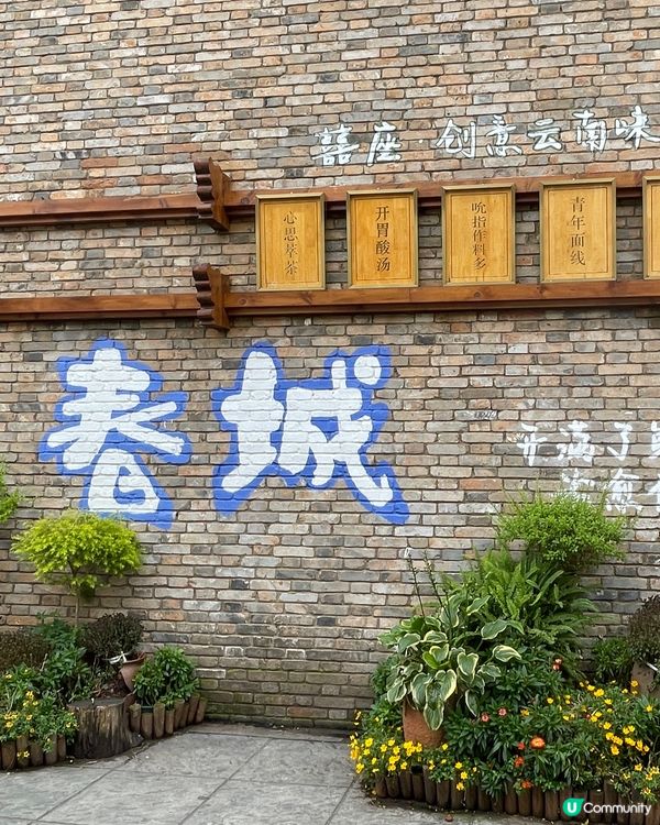 昆明老街嘆茶🍵，酒杯樓下聽風！🌬️