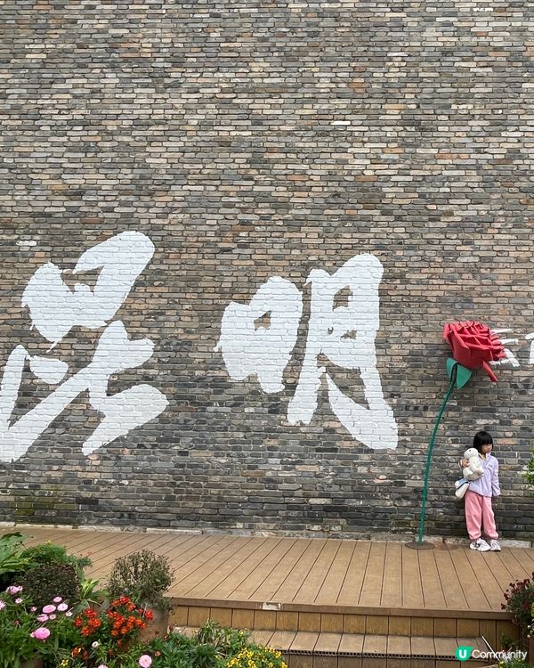 昆明老街嘆茶🍵，酒杯樓下聽風！🌬️