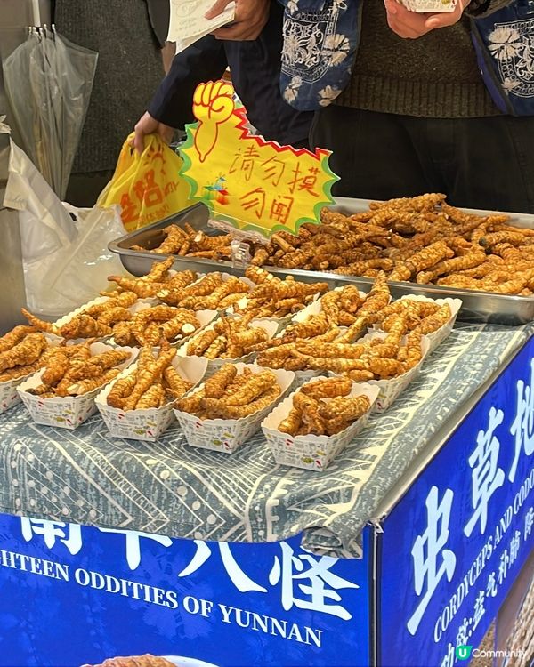 昆明老街嘆茶🍵，酒杯樓下聽風！🌬️