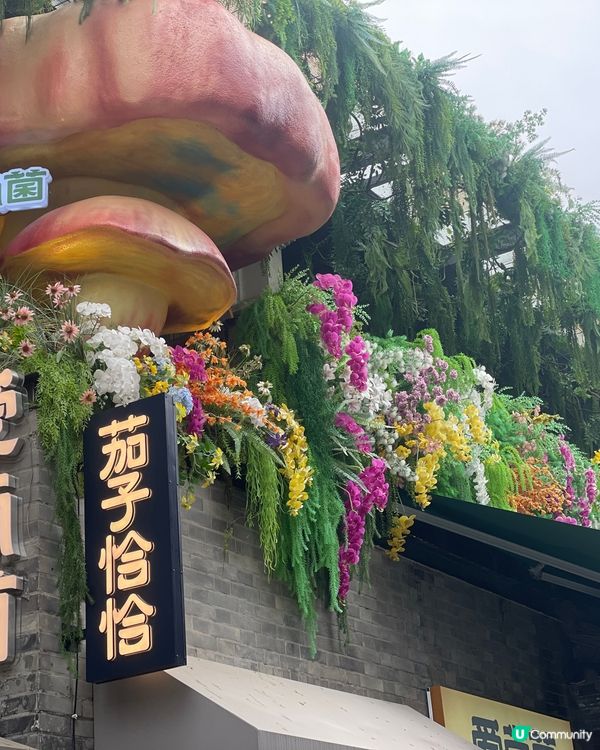 昆明老街嘆茶🍵，酒杯樓下聽風！🌬️