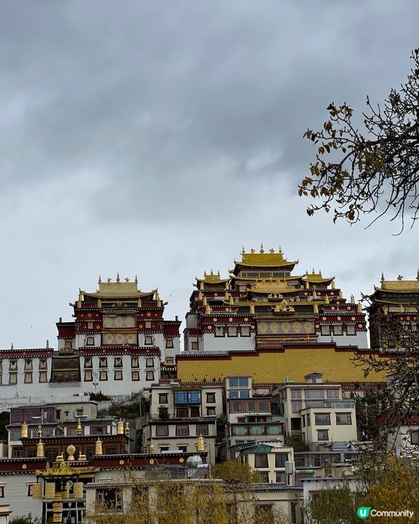 噶丹松赞林寺朝聖之旅 🤩 藏地信仰嘅重量！