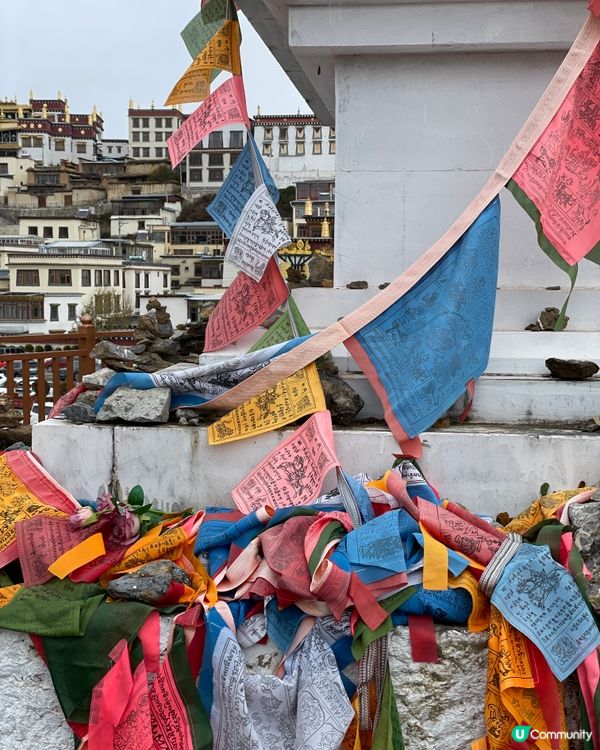 噶丹松赞林寺朝聖之旅 🤩 藏地信仰嘅重量！