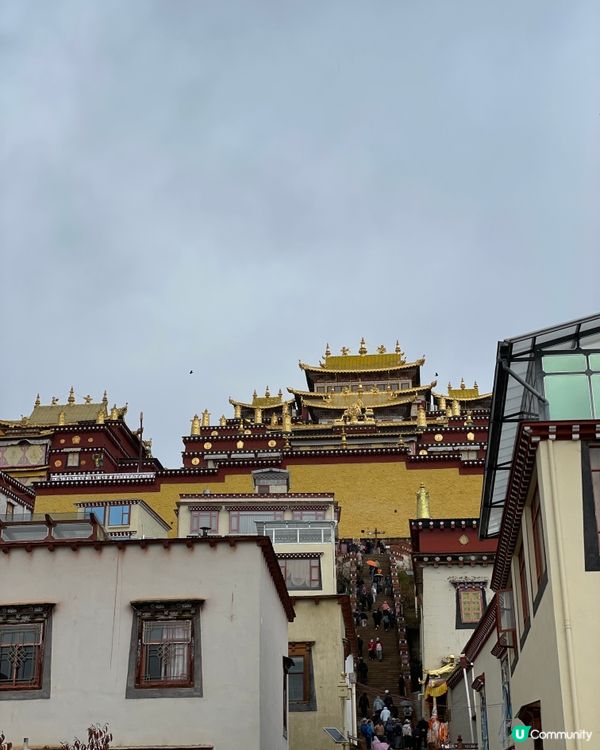 噶丹松赞林寺朝聖之旅 🤩 藏地信仰嘅重量！