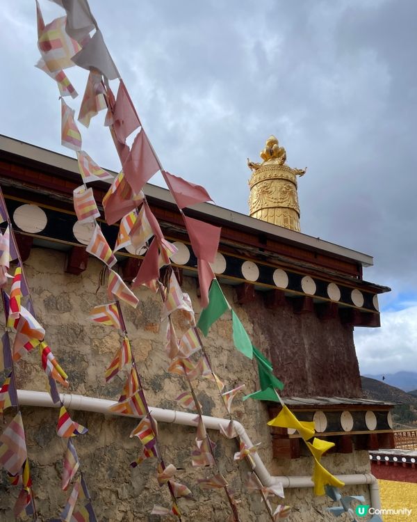 噶丹松赞林寺朝聖之旅 🤩 藏地信仰嘅重量！