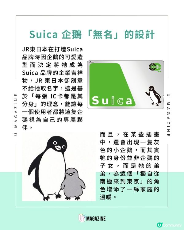 Suica 企鵝宣布 2026 年光榮畢業！