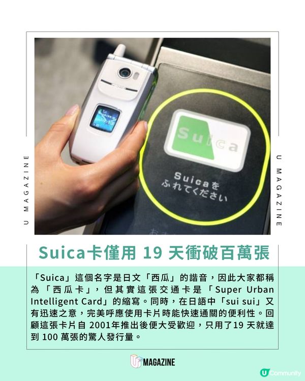 Suica 企鵝宣布 2026 年光榮畢業！