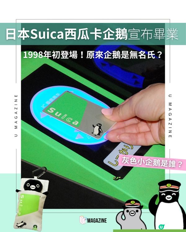 Suica 企鵝宣布 2026 年光榮畢業！