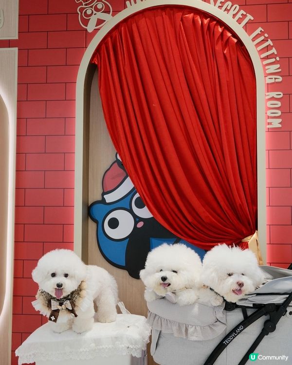 將軍澳中心聯乘聖誕裝飾