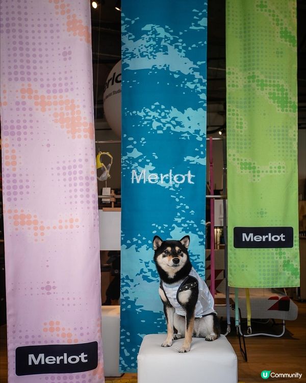 韓國寵物生活品牌Merlot快閃店