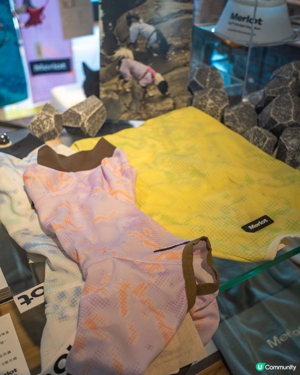 韓國寵物生活品牌Merlot快閃店