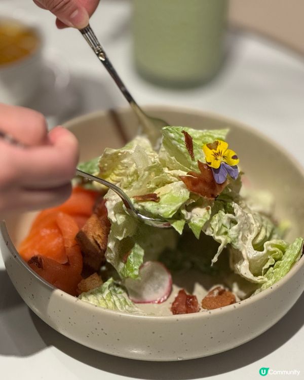 裕民坊歐陸風打卡餐廳📸😋環境古典❤️慶祝一流