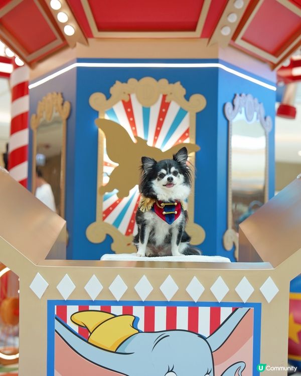 聖誕🎄就黎啦🌟