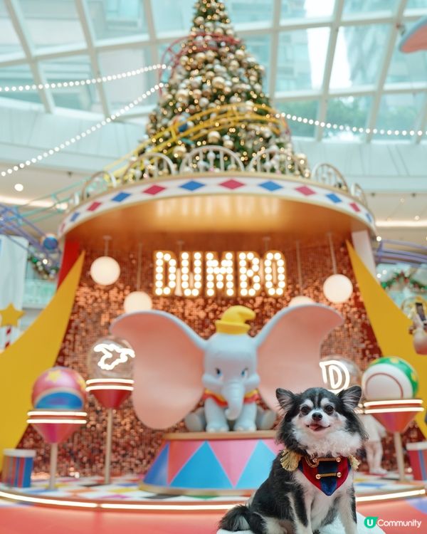 聖誕🎄就黎啦🌟