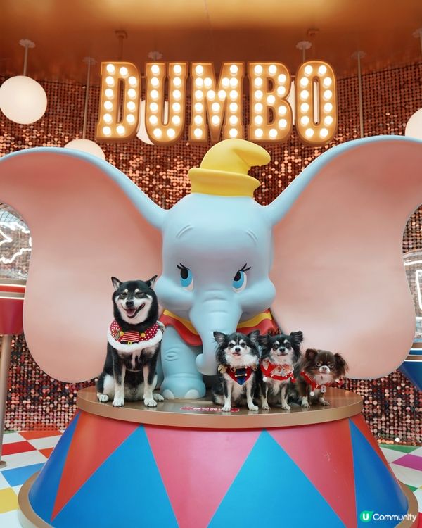 聖誕🎄就黎啦🌟