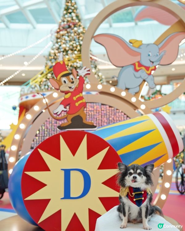 聖誕🎄就黎啦🌟