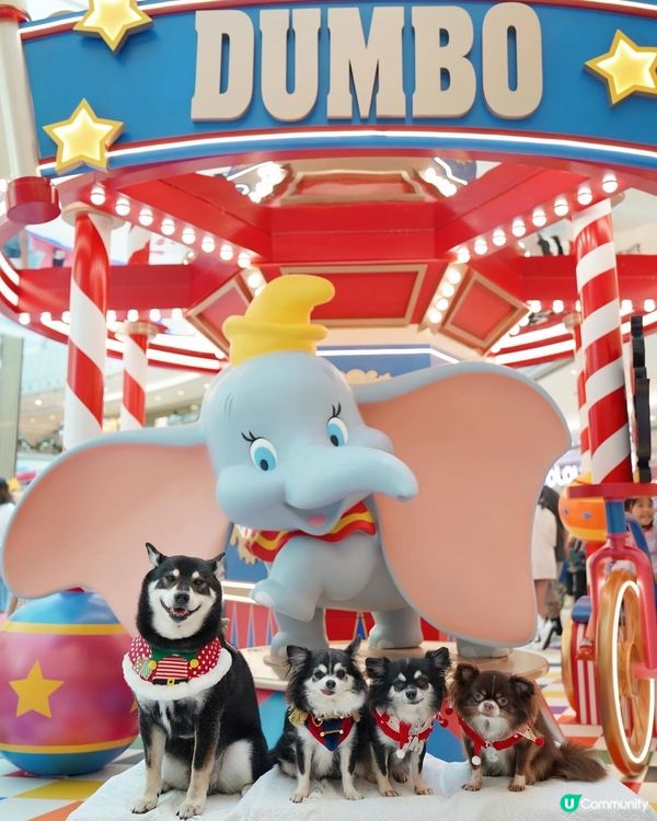 聖誕🎄就黎啦🌟