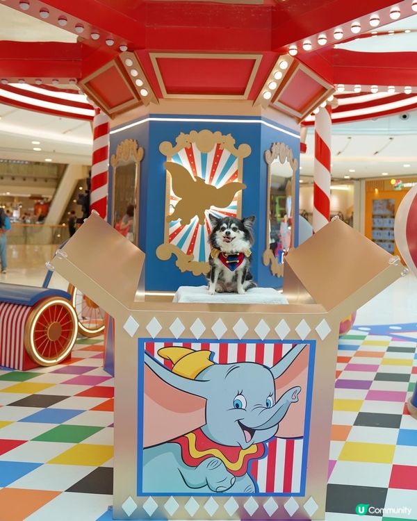 聖誕🎄就黎啦🌟