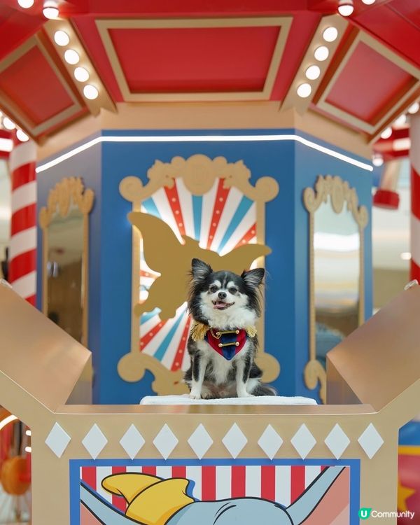 聖誕🎄就黎啦🌟