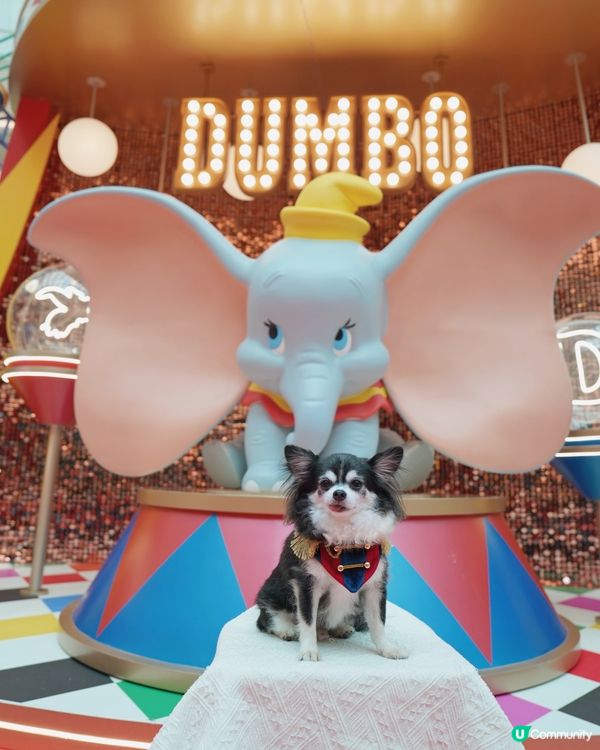 聖誕🎄就黎啦🌟