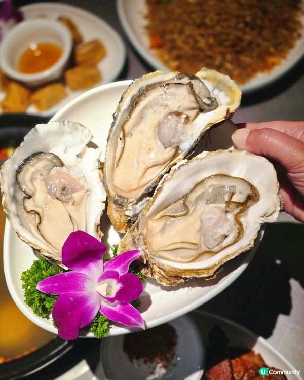 📍深圳必吃 🥘潮森記土雞火鍋