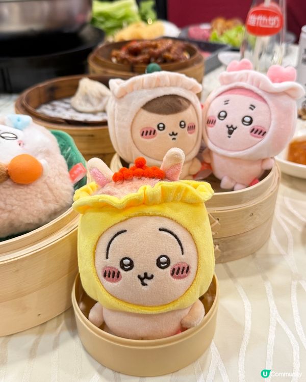 荃灣大鴻輝抵食火鍋點心放題！🤤 215蚊任食！