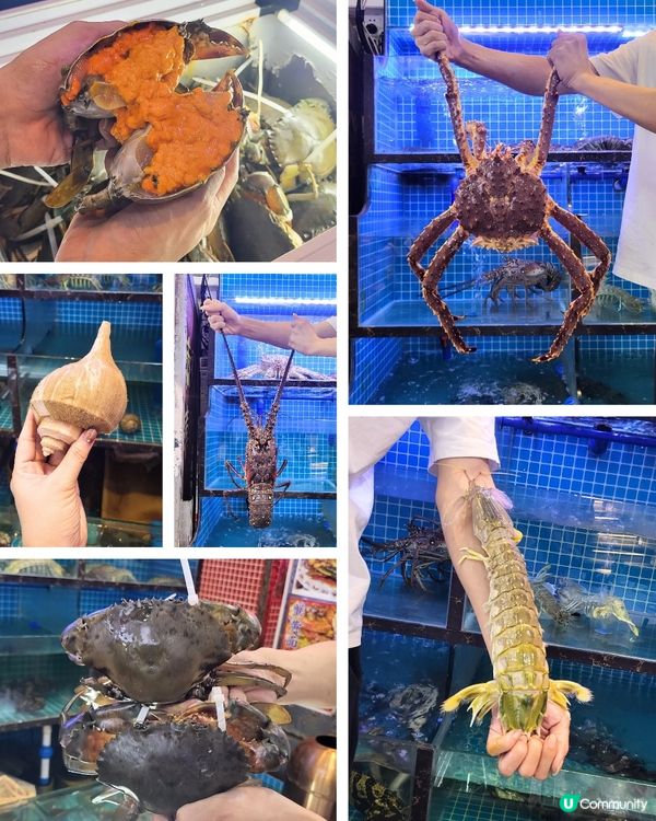 港風接地氣・深圳鮮味突擊