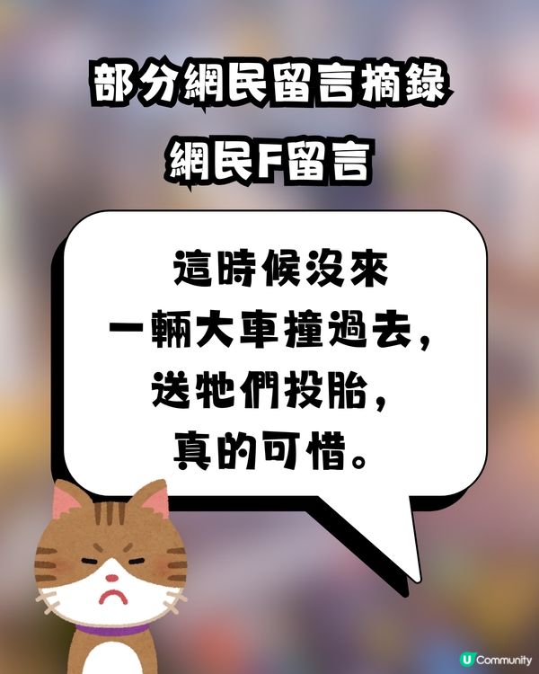 內地網紅於澀谷街頭大跳「籃球舞」惹爭議💥🇯🇵網民狠批：為何不在中國行車道跳