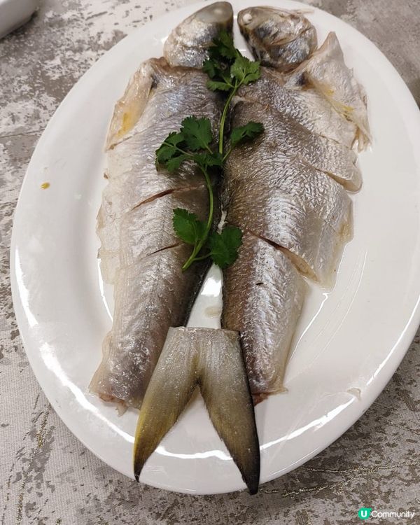 正宗潮州菜🤤！蠔仔烙，鵝片必吃！