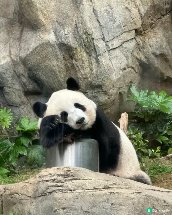 時代變了 但情感還在