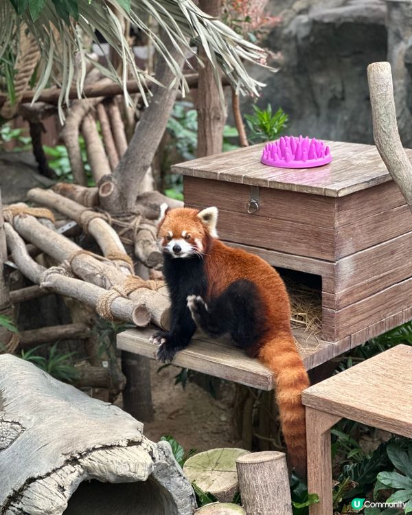 時代變了 但情感還在