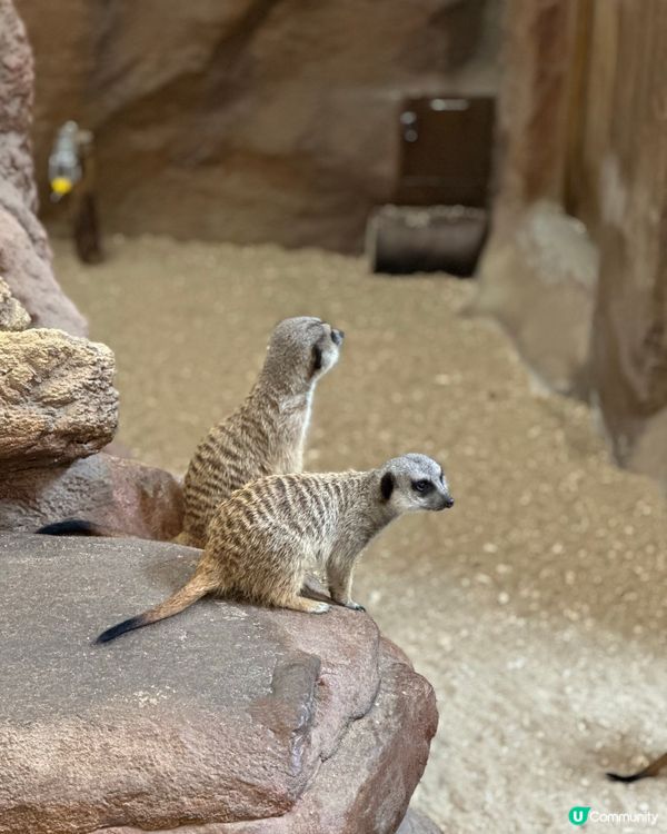 時代變了 但情感還在
